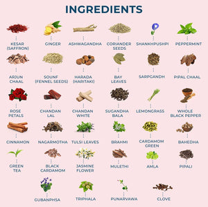 Heart Tea - 35+ Natural Ingredient Blend for Cardiovascular Wellness secondaidweb