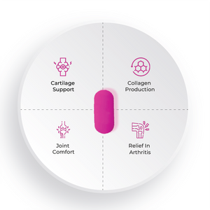 A four-section diagram showing the benefits of a pink capsule: Cartilage Support, Collagen Production, Joint Comfort, and Relief In Arthritis.