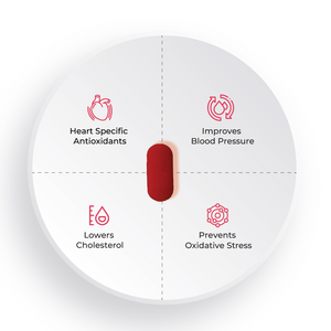 A four-section diagram showing the benefits of a red capsule: Heart Specific Antioxidants, Improves Blood Pressure, Lowers Cholesterol, and Prevents Oxidative Stress.