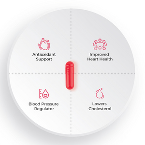 A four-section diagram showing the benefits of a red capsule: Improved Heart Health, Lowers Cholesterol, Blood Pressure Regulator, and Antioxidant Support.