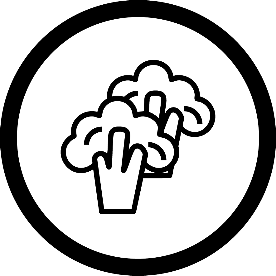 Icon symbolizing a Fully Vegetarian or Plant-Based product: SecondAid